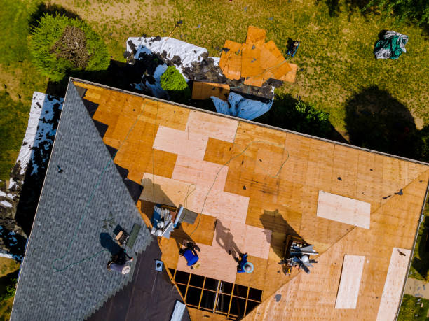 Best Local Roofing Companies  in Johnstonville, CA